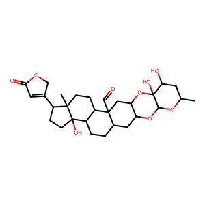 Calactin structure