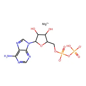 MgADP structure