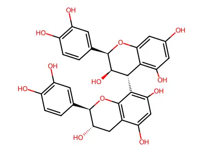 Proanthocyanidin B2 structure