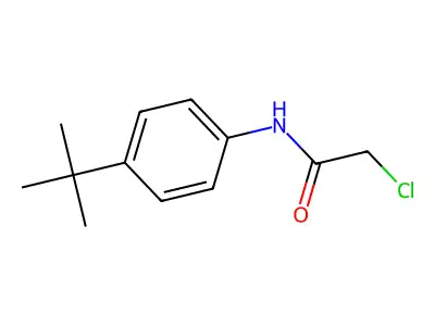 N-(4-tert-butylphenyl)-2-chloroacetamide structure