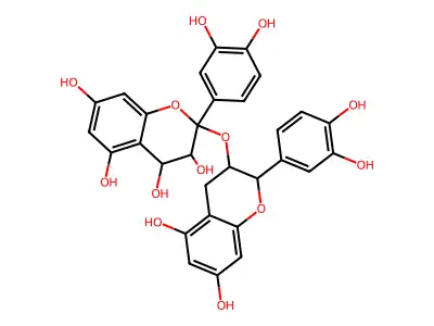 Procyanidin structure