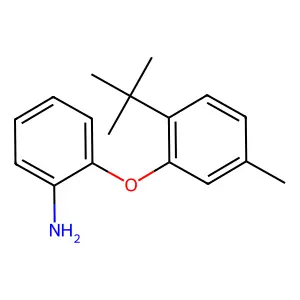 2-(2-tert-Butyl-5-methylphenoxy)aniline structure