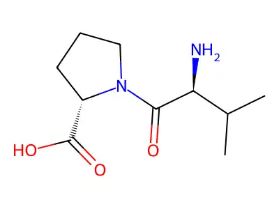 Pro-val structure