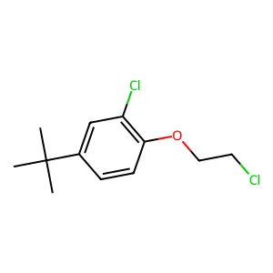 4-Tert-butyl-2-chloro-1-(2-chloroethoxy)benzene structure