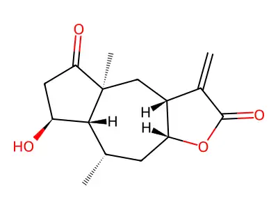 Burrodin structure