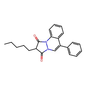Cintazone structure