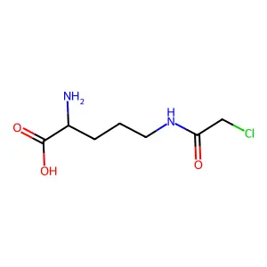 N-delta-chloroacetyl-L-ornithine structure