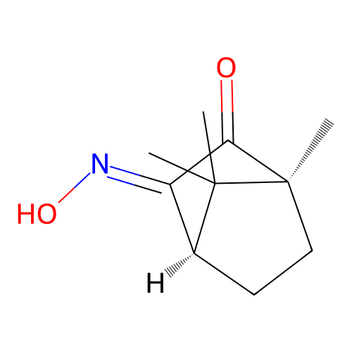 (1S,E)-(-)-Camphorquinone 3-oxime structure