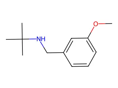 N-[(3-methoxyphenyl)methyl]-2-methylpropan-2-amine structure