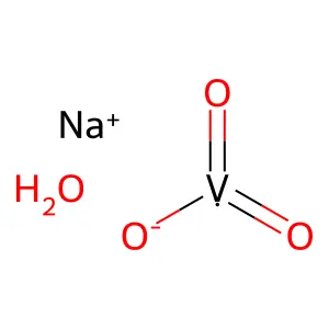 Sodium metavanadate hydrate structure