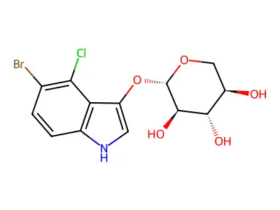 X-Xyl structure
