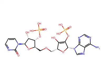 Bis(3'-5')cyclic(uridylyl-adenosine monophosphate) structure