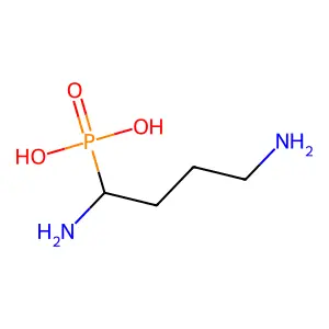 (1,4-Diaminobutyl)phosphonic acid structure