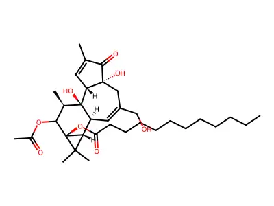 Phorbol acetate, laurate structure