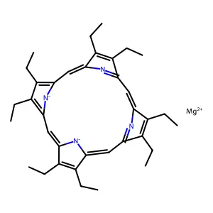 MgOEP structure