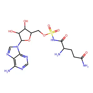 谷氨酰胺酰-AMS structure