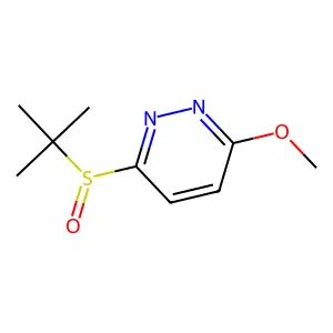 Pyridazine, 3-[(1,1-dimethylethyl)sulfinyl]-6-methoxy- structure