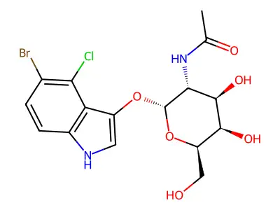 X-GlcNAc structure