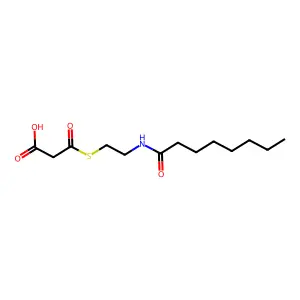 Malonic acid, thio-, S-ester with N-(2-mercaptoethyl)octanamide structure