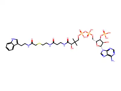 CoA-s-acetyl tryptamine structure