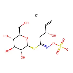原告依春 structure
