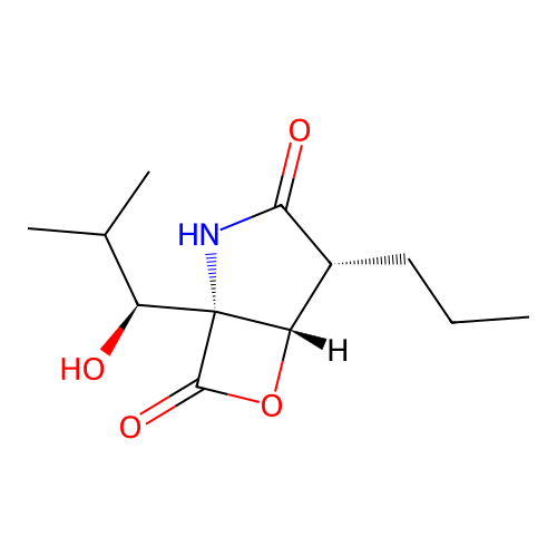 mln519 structure