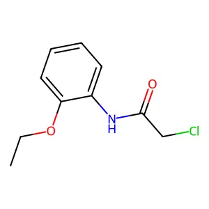 2-chloro-N-(2-ethoxyphenyl)acetamide structure