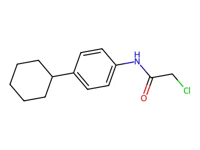 2-chloro-N-(4-cyclohexylphenyl)acetamide structure