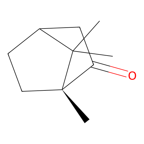 camphor structure