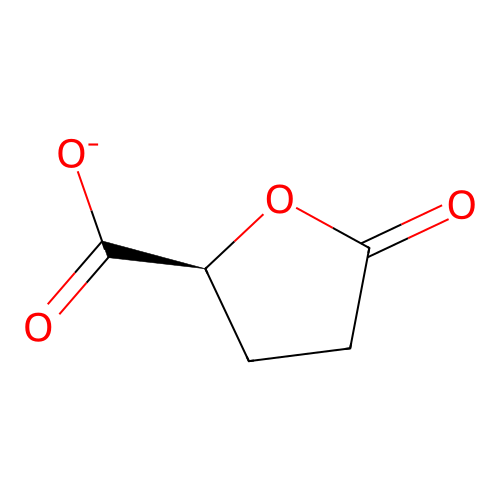 (2S)-5-oxooxolane-2-carboxylate structure