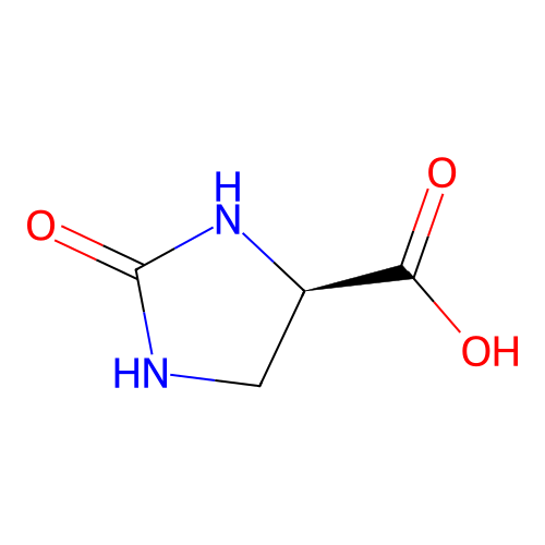 (4R)-2-oxoimidazolidine-4-carboxylic acid structure