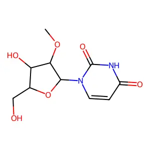 2'-O-甲基尿苷 structure