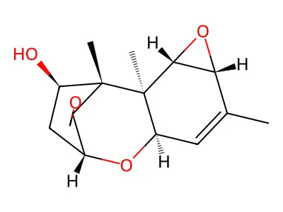 Crotocol structure