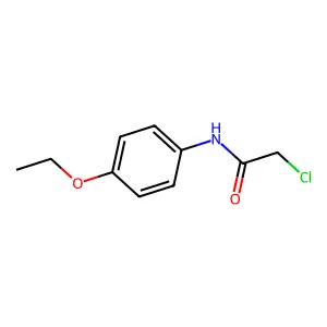 2-Chloro-N-(4-ethoxyphenyl)acetamide structure