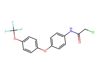 N-{4-[4-(Trifluoromethoxy)phenoxy]phenyl}-2-chloroacetamide structure