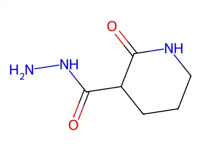 2-Oxopiperidine-3-carbohydrazide structure