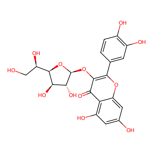 Isoquercitrin structure