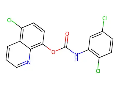5-Chloro-8-quinolyl N-(2,5-dichlorophenyl)carbamate structure