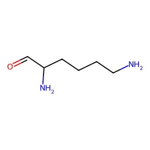 Lysinyl structure