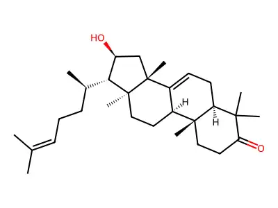 KULINONE structure
