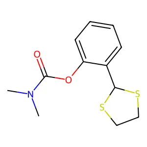 Conjonctyl structure