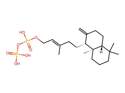 ent-Copalyl diphosphate structure