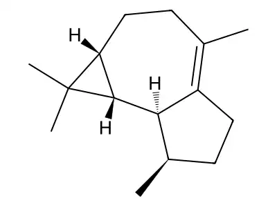 1,1,4,7-Tetramethyl-1a,2,3,5,6,7,7a,7b-octahydrocyclopropa[e]azulene structure