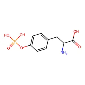 Phospho-L-tyrosine structure