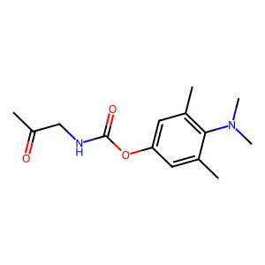 Carbamic acid, acetylmethyl-, 4-(dimethylamino)-3,5-xylyl ester structure