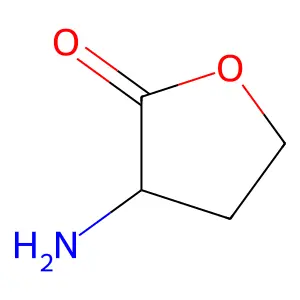 L-Homoserine lactone structure