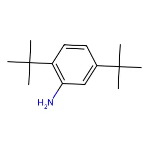 2,4-Di-tert-butylaniline structure