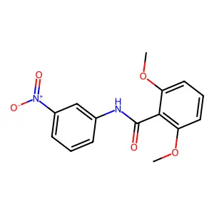 2,6-dimethoxy-N-(3-nitrophenyl)benzamide structure