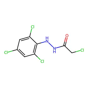 2-氯-N-(2,4,6-三氯苯基)乙酰肼 structure