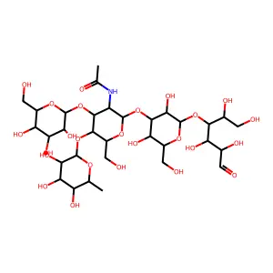 lacto-N-fucopentaose II structure